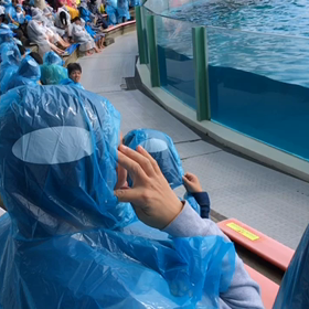 里山トロッコ小湊鐵道&鴨川シーワールドの画像