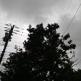 お盆休みラストの画像