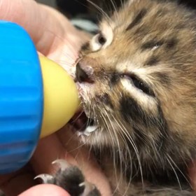 癒されるぅぅぅ♪の画像