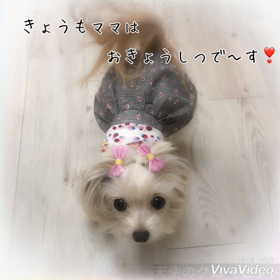 2月の天使のクローゼットマンスリーレッスンの画像