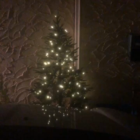 本日からクリスマスイベントですの画像