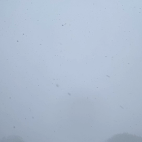 今日のおわらサーキットの画像