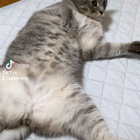 セクシーおまるの画像