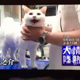 再生できなかったよー(T-T)の画像