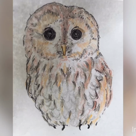 イラスト動画の画像