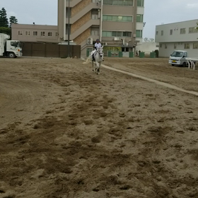 大井始まってるっぺの画像