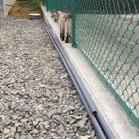 パトロールにゃんの画像