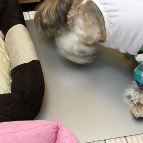 今年も！の画像