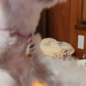 オラフのムシャムシャ　タイムの画像