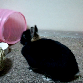 「星一徹」からのぉ⤴の画像