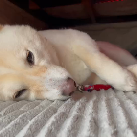 これ以上どうしたら？良いのの画像