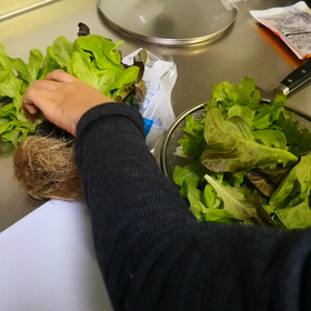 次女の野菜の下ごしらえの仕方の画像