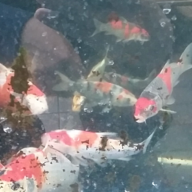 やっと起きたの画像