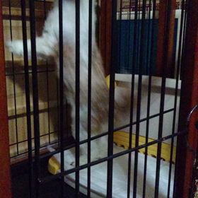 動画〜そらのふしぎなうんＰスタイル(?_?)の画像