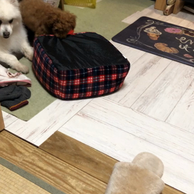 噛み隠しの画像