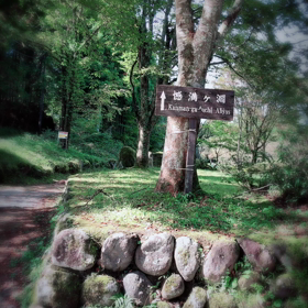 大人の休日2の画像