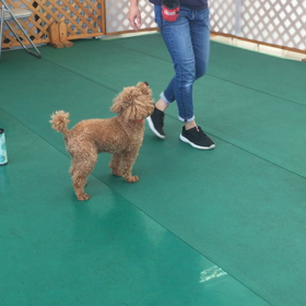 シニアでも、元気元気の画像