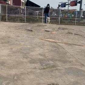 お散歩４回目、ドッグランへの画像