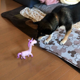 受け入れるまでに時間がかかるの画像