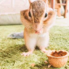 かわいいプリケツさん♡の画像