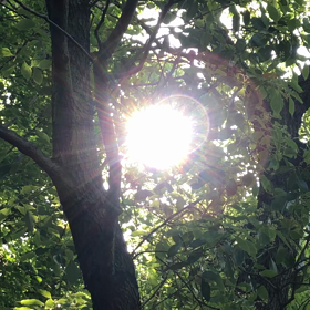 キラキラ発見！の画像