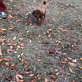 秋の気配の画像