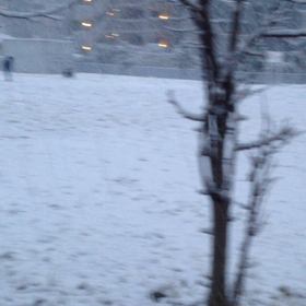 あけましたねの画像