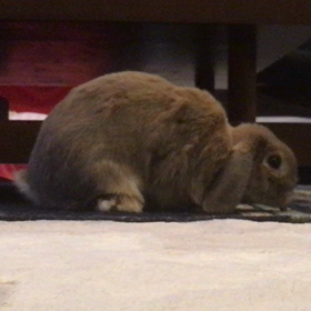 そう来たかーーー∑(ﾟДﾟ)の画像