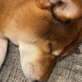 よーーーし！！！ありがとう！の画像