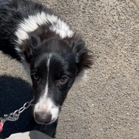 トレーニング３日目の画像