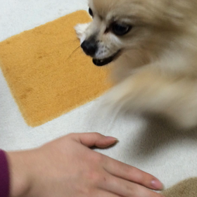 3人の息子のこと☘️の画像