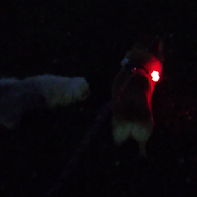 「La Primavera」の画像