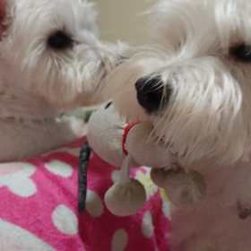 耐えていますの画像