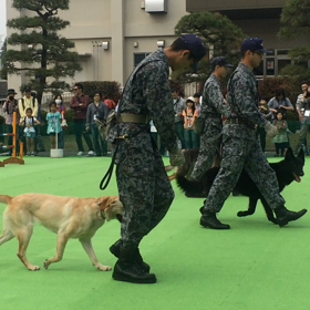 入間基地ランウェイウォーク2015 その２-２の画像