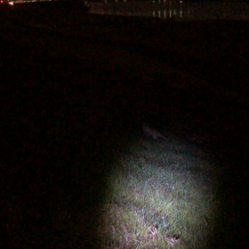 久しぶりに会えた〜の画像