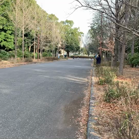 選考会⑧の画像