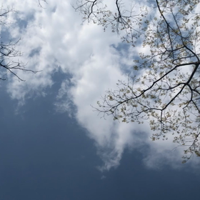 森林浴的に。!?。の画像