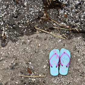 【動画】海遊び実況中継の画像