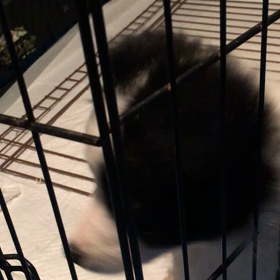 ワクチンに行った女の子の画像