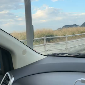 スケボーブルドッグの画像