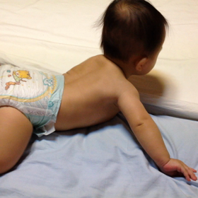 ずり這いをマスターの画像