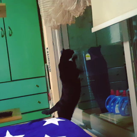 ガチャガチャ.....の画像