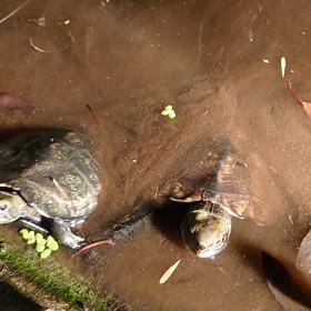 前回の続きの画像