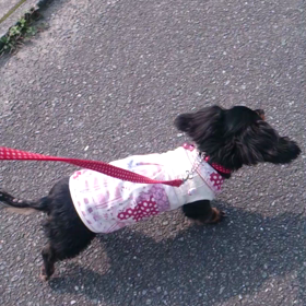 気持ちいい～の画像