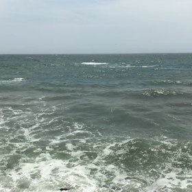 横須賀  立石公園の画像