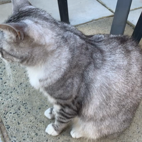 ビリーお姉ちゃんをナデナデの画像