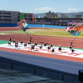 よさこい常連チームの。の画像