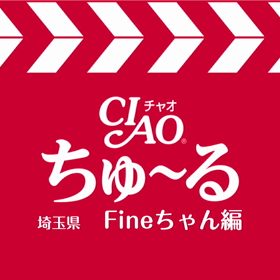 ちゅ~るメーカーの画像