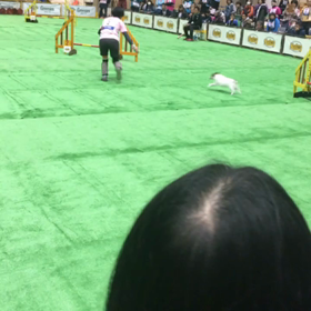 ビックサイトの画像