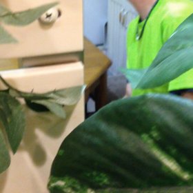 レッスン隠し撮り☆の画像